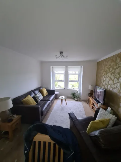 Sitting room with a patterned feature wall